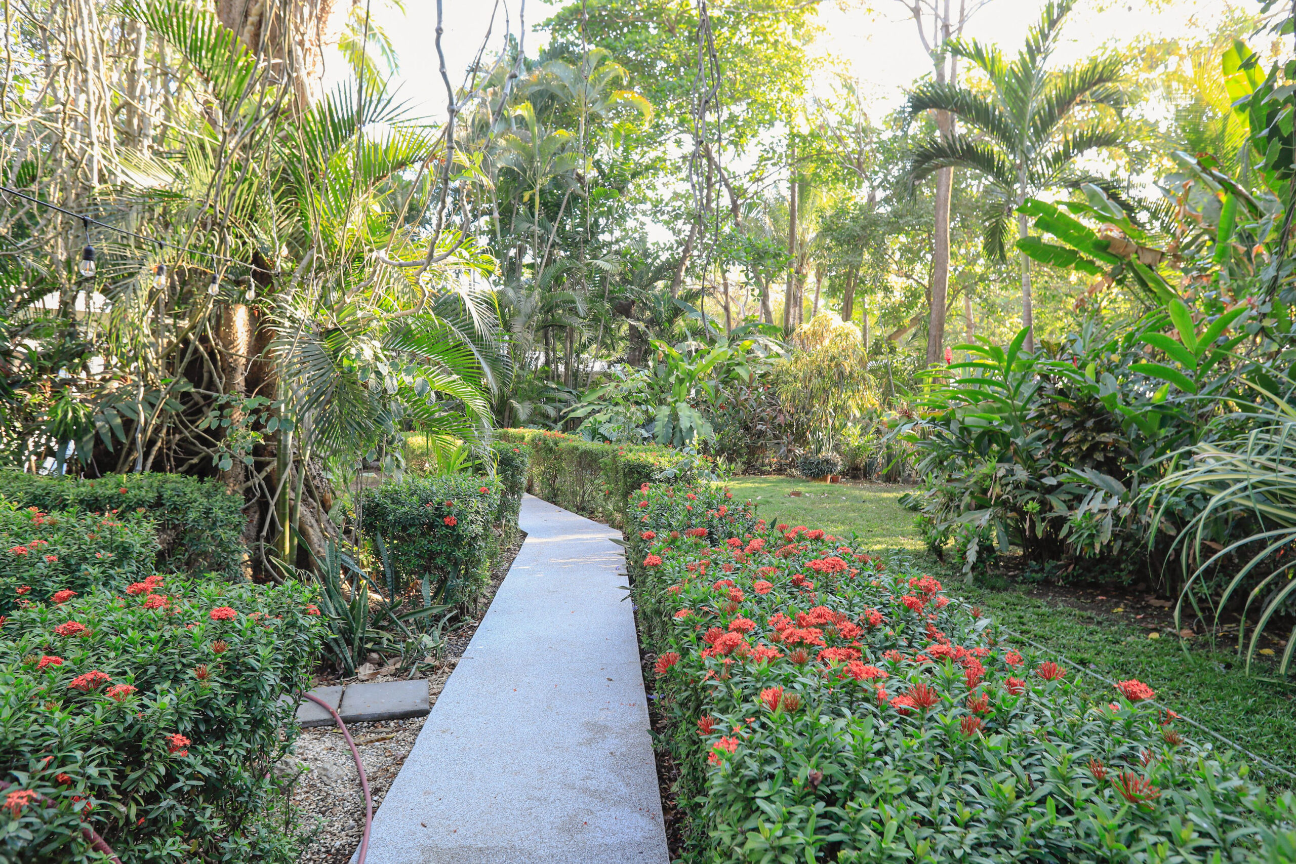ROCAMAR 7 CasaCecilia2024-278