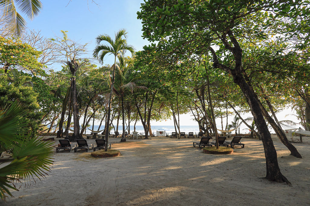 SWELL 9 CasaCecilia2024-area playa 275